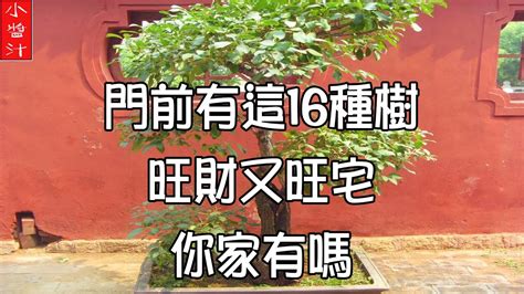 門前植物|門前種對樹，家庭旺三代，家門前種5種樹，寓意好，。